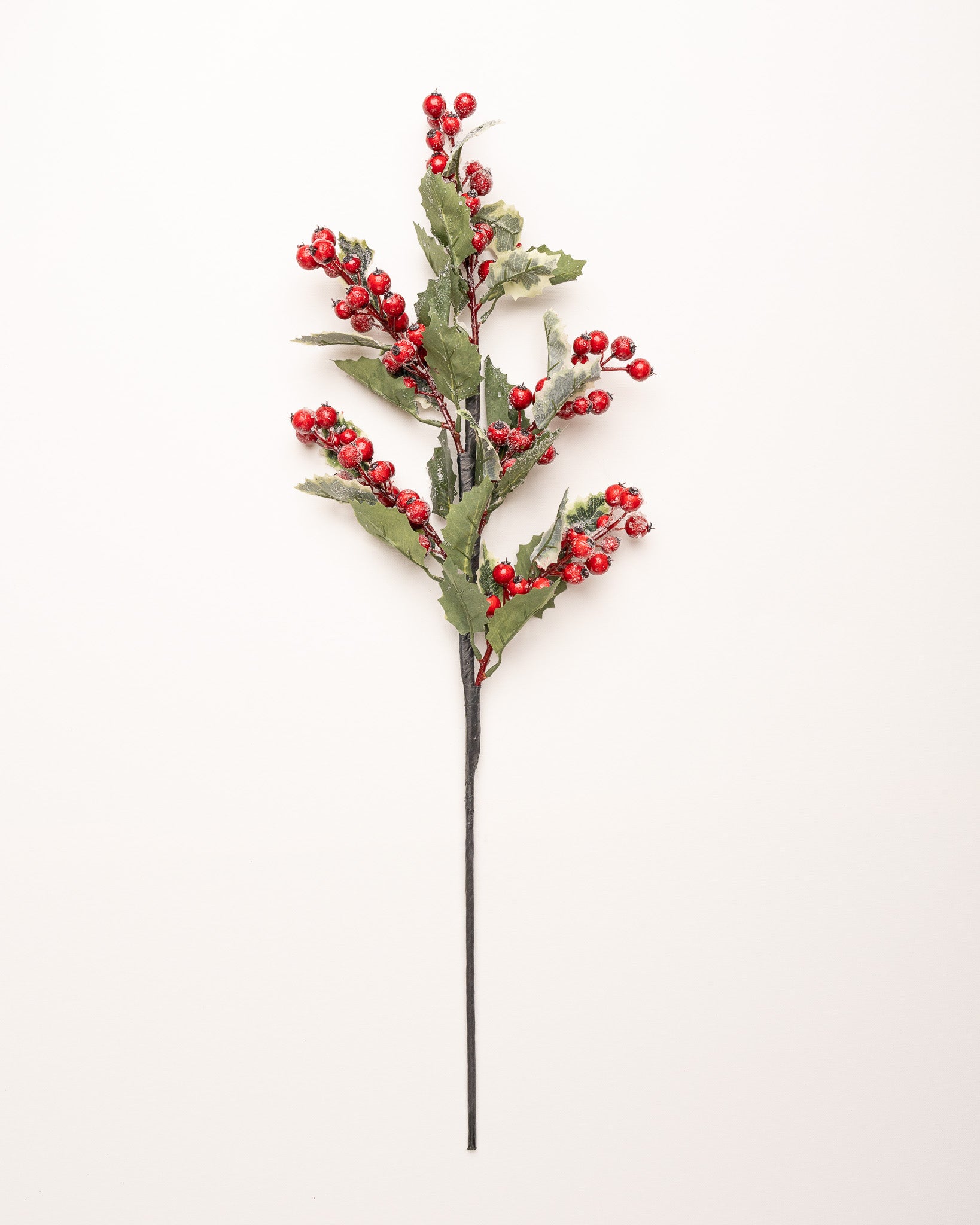 Holly Branches With Red Berries Set For Decoration Traditional
