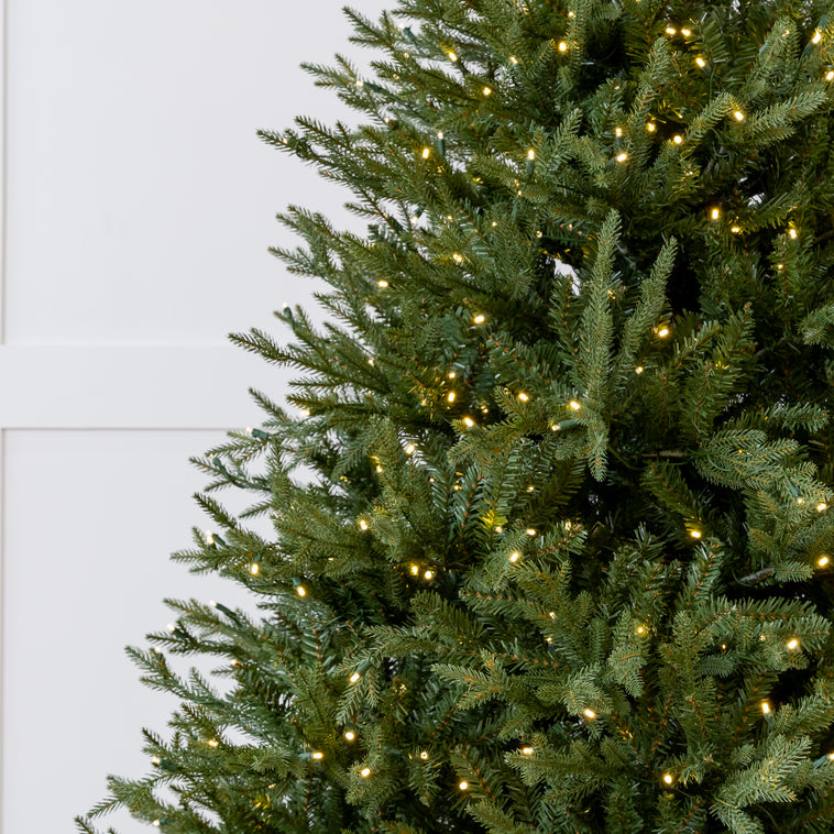 Kentucky Fir Tree Pre-Lit Warm White LED Lights
