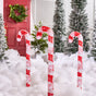 2 FT 90 LED Cool White Acrylic Outdoor Candy Canes 120V