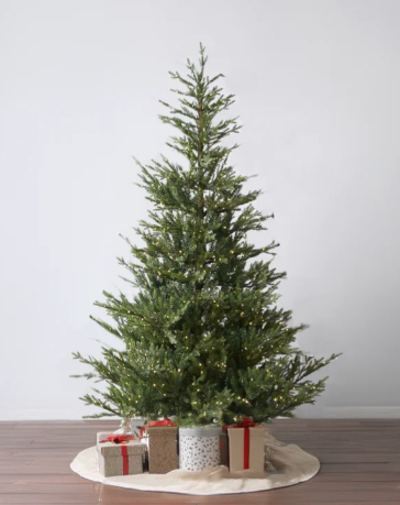 How to Choose the Right Christmas Tree for Your Home This Holiday Season