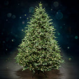 Decorated Christmas tree with lights against a dark background