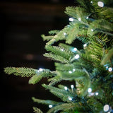 Close-up of a Christmas tree with lights against a dark background
