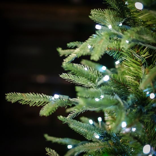 Close-up of a Christmas tree with lights against a dark background
