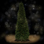 10 FT Fraser Pine Slim Pre-Lit RGBWW LED Lights