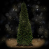 Tall, decorated Christmas tree on a wooden floor with a dark background and bokeh lights.