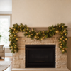 9 FT X 14" Dynamic Oregon Garland RGBWW
