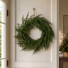 24" Norfolk Pine Wreath