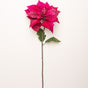 Juego de 6 tallos de flor de pascua de terciopelo rosa intenso de 16"
