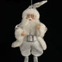 9" Silver & White Santa Claus