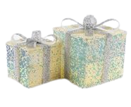 Caja de Regalo con Purpurina Plateada y Amarilla, Juego de 2