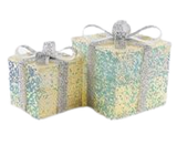 Caja de Regalo con Purpurina Plateada y Amarilla, Juego de 2