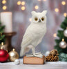 11" White Owl