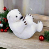 7" Polar Bear Playing With Foot