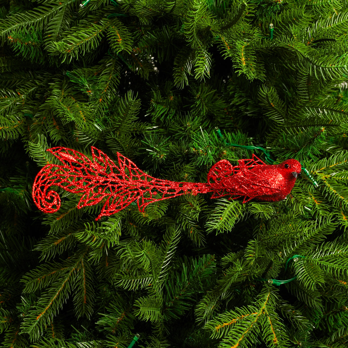 12" Red Glitter Long-Tail Bird Set Of 6