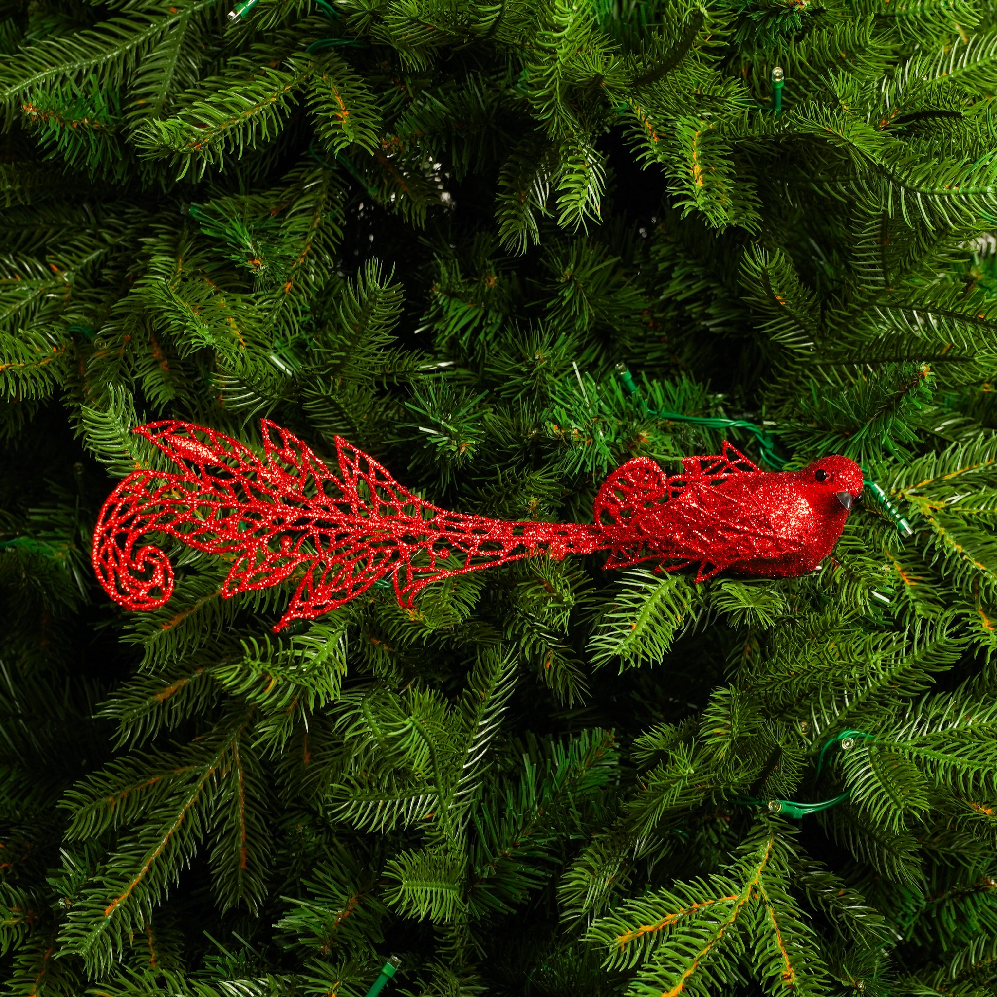 Juego de 6 pájaros rojos de cola larga de 12"