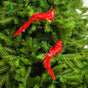 9" Red Glitter Long-Tail Bird Set Of 6