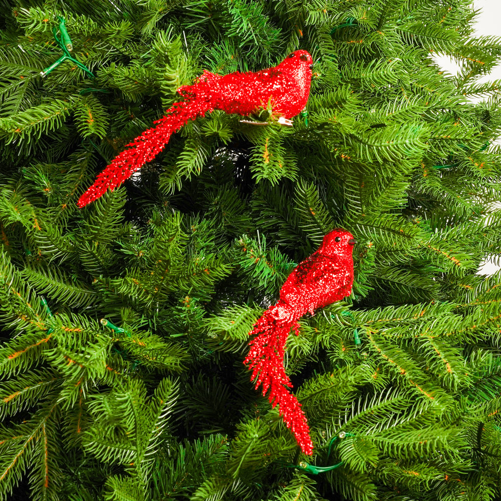 9" Red Glitter Long-Tail Bird Set Of 6