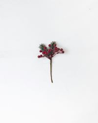 5" Red Berry Pick Set Of 12
