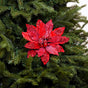 10" Red Poinsettia Clip Set Of 4
