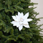 10" Icy White Poinsettia Clip Set Of 6