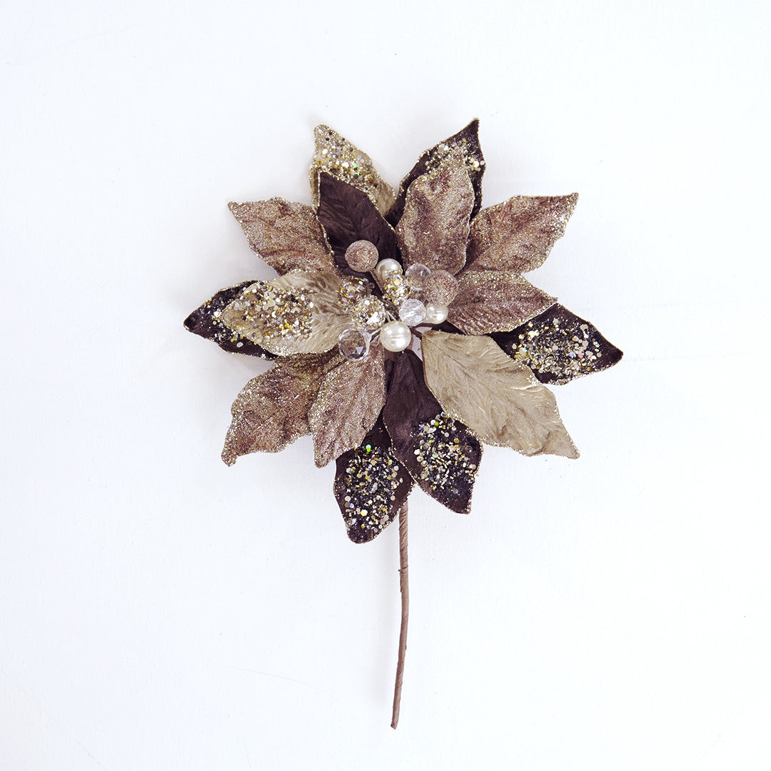 10" Brown & Champagne Poinsettia Clip Set Of 6