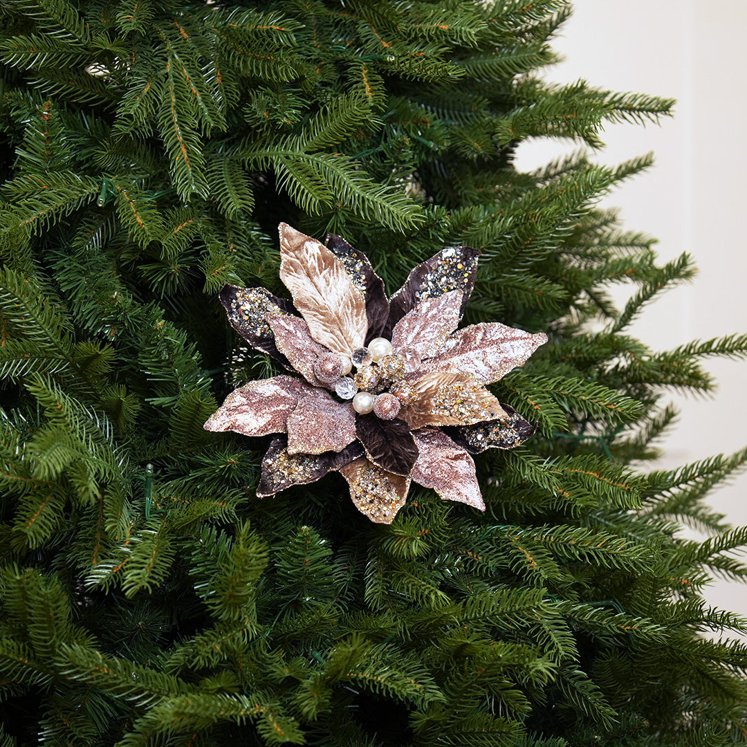 10" Brown & Champagne Poinsettia Clip Set Of 6