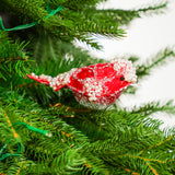 6" Snowy Red Bird Clip Set Of 6