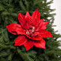 16" Red Velvet Poinsettia Stem Set of 2