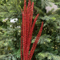 27" Red Glitter Fern Set of 6