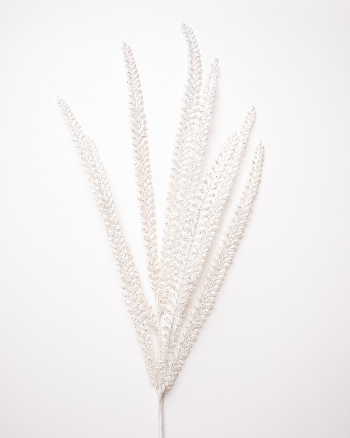 27" White Glitter Fern Set Of 6
