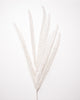 27" White Glitter Fern Set Of 6
