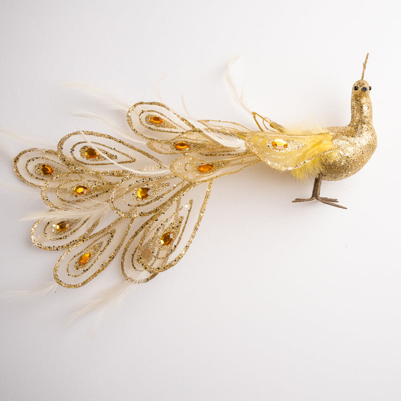 Pavo real brillante con plumas de 20"