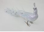 Pavo real brillante con plumas de 20"