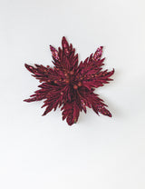 12" Glitter Poinsettia Clip Set Of 6