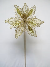 25" Lace Poinsettia Set Of 6