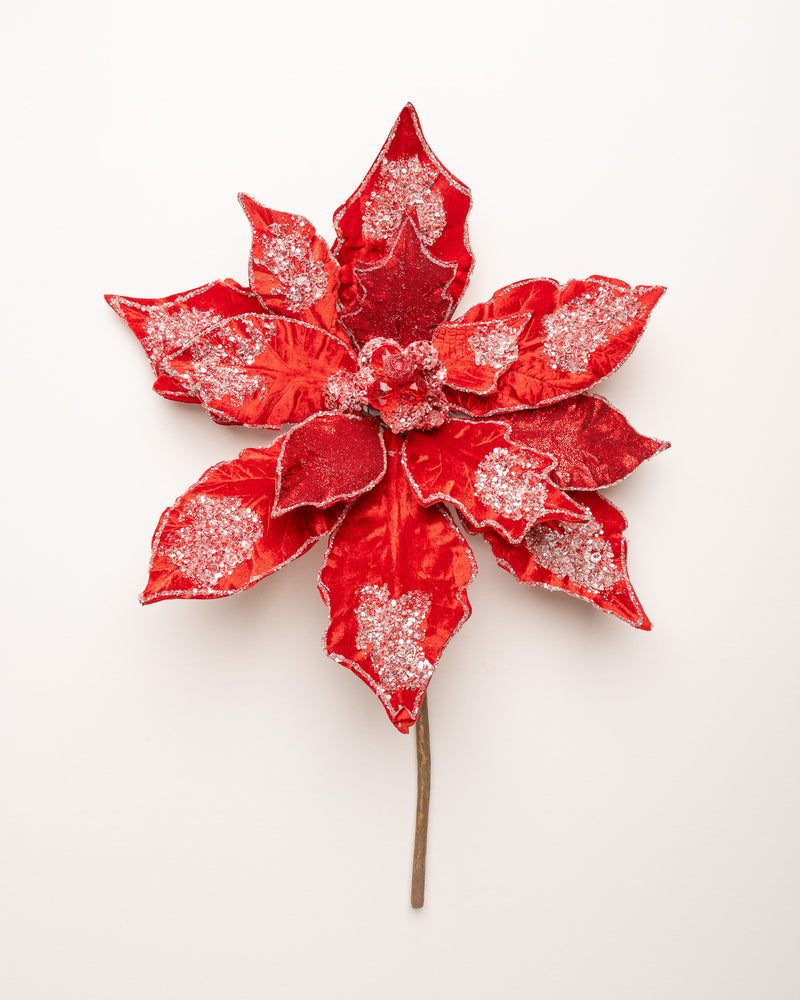 Juego de 2 poinsettias heladas de 20"