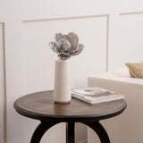 Decorative vase with a succulent on a wooden side table in a living room setting.