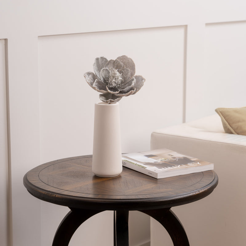 Decorative vase with a succulent on a wooden side table in a living room setting.