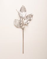 Juego de 6 hojas de magnolia plateadas y heladas de 24"