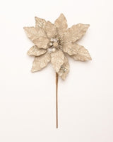 Decorative poinsettia flower on a white background