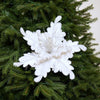 14" Tallo de Poinsettia Blanco Plateado, Juego de 6