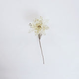 13" Mini Ivory Holly Clip Set Of 6