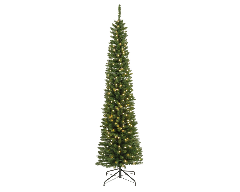 Pencil Pine Pre Lit Warm White Micro LED Lights