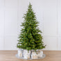 Grandis Fir Tree Pre Lit Warm White Micro LED Lights