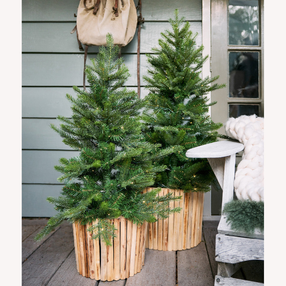 3 FT Potted Grandis Battery Operated Warm White Micro Led