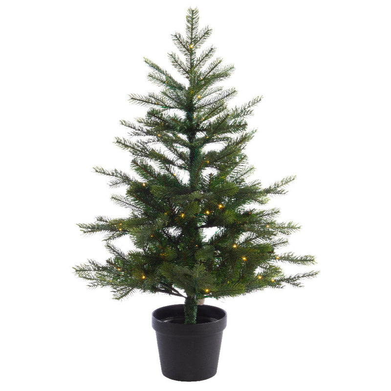 3 FT Potted Grandis Battery Operated Warm White Micro Led
