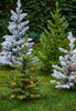 Allison Pottable Snowy Tree Micro LED blanco cálido