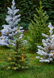 Allison Pottable Snowy Tree Micro LED blanco cálido
