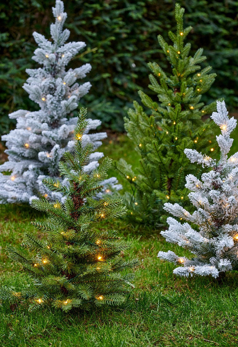 Allison Pottable Tree Micro Warm White LED
