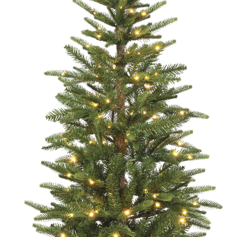 Alpbach Fir Warm White & Multi Micro LED Lights